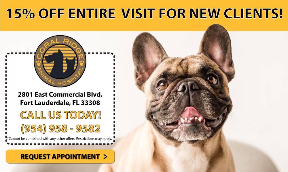 New Client Coupon